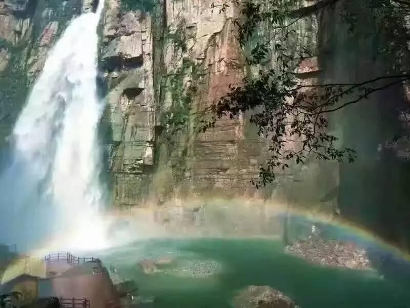 菠菜的功效如何呢游戏画面