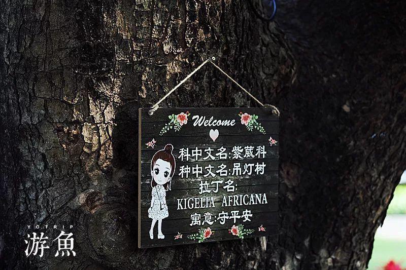 江苏高考模式有哪些弊端?-专业问答网站,快速解决您的问题