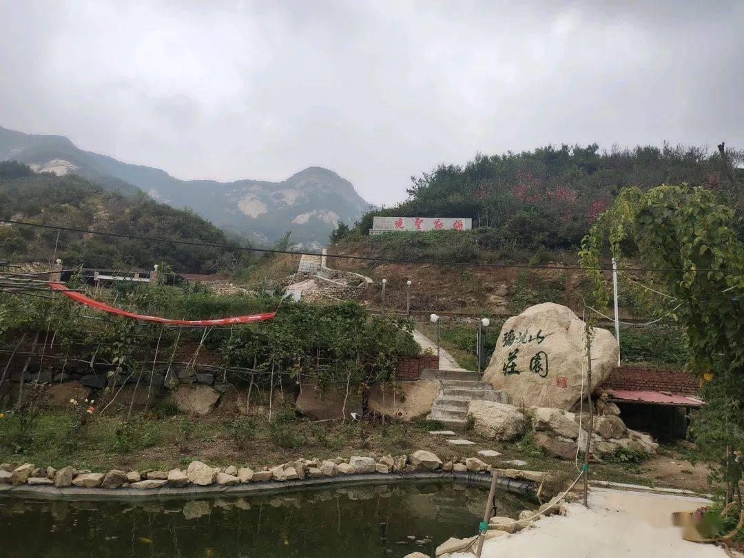 小猫钓鱼开船版最新版下载