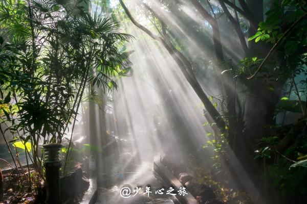 好消息!大理的宝妈们更有“医”靠啦