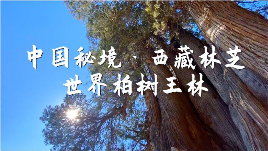内分泌失调的人会有哪些症状呢？应该怎样进行调理？游戏画面