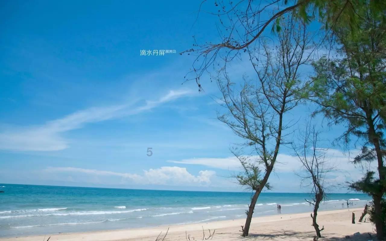 阴阳师