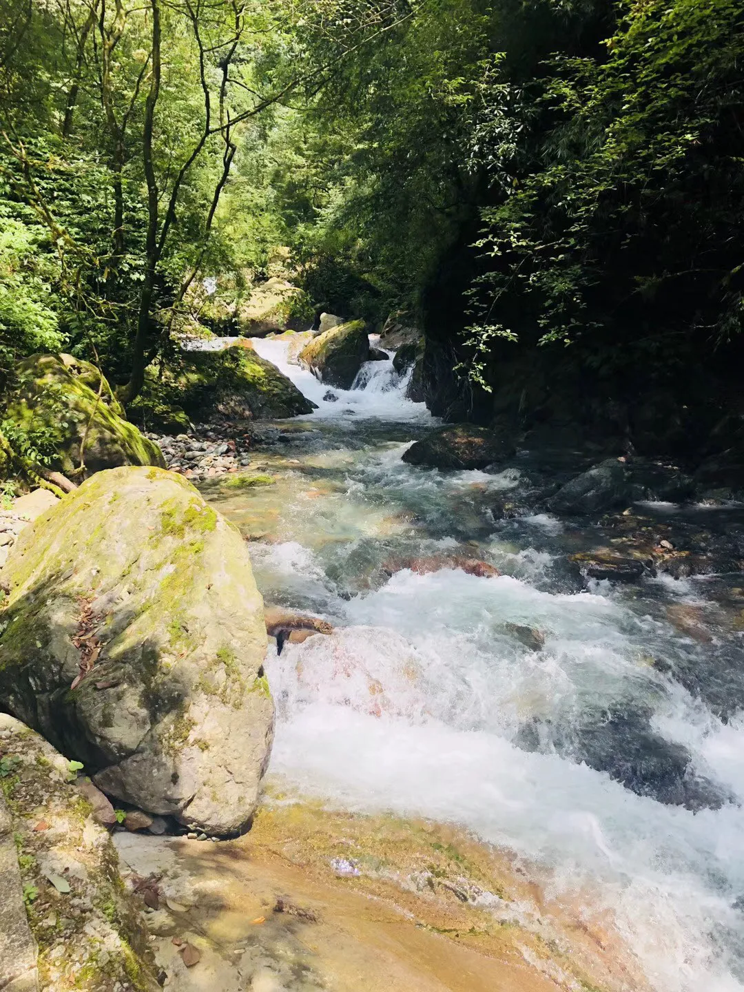 微酸秘密