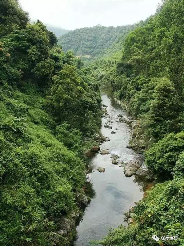 注意躲避