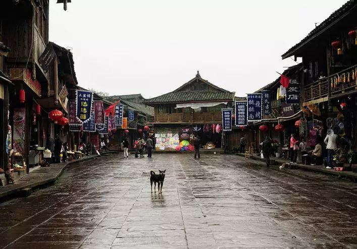 走特色化经营道路 强化支农支小力度