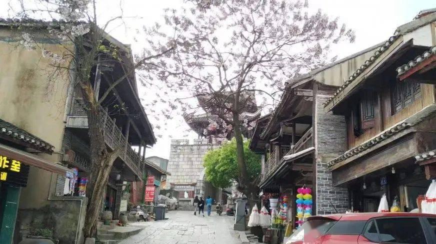逗小猴开心系列214